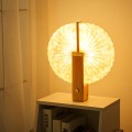  Solid wood creative desktop book lamp